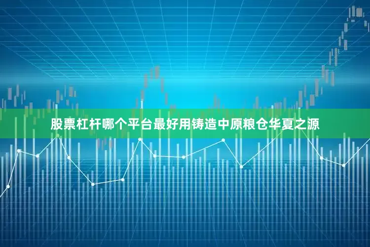 股票杠杆哪个平台最好用铸造中原粮仓华夏之源