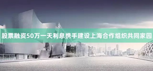 股票融资50万一天利息携手建设上海合作组织共同家园